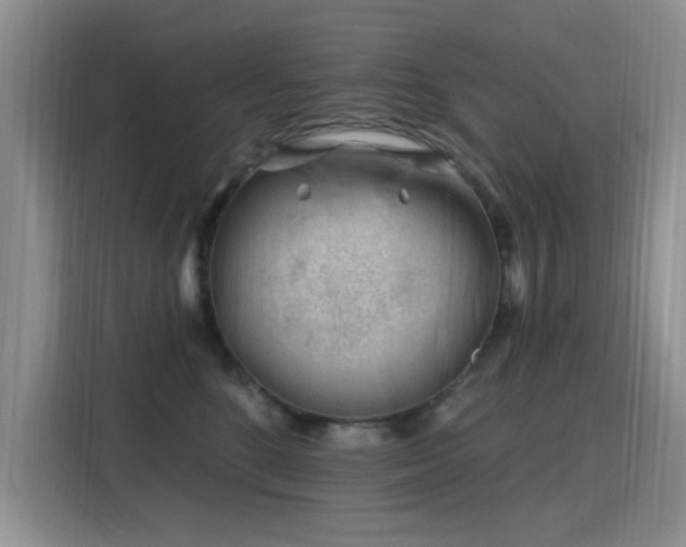 X0000115810520200911201421