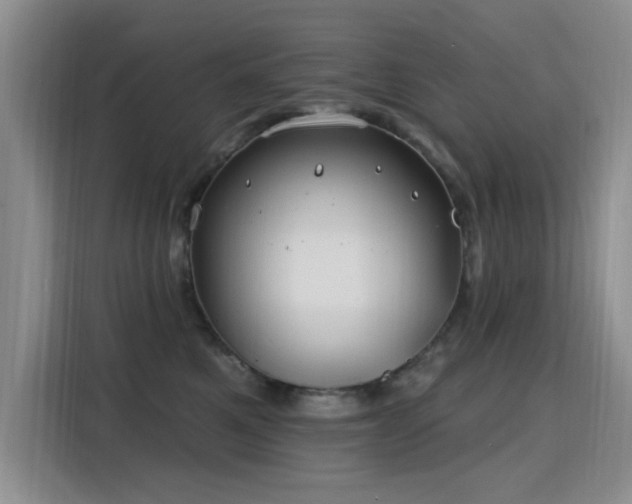 X0000115810521200911201421
