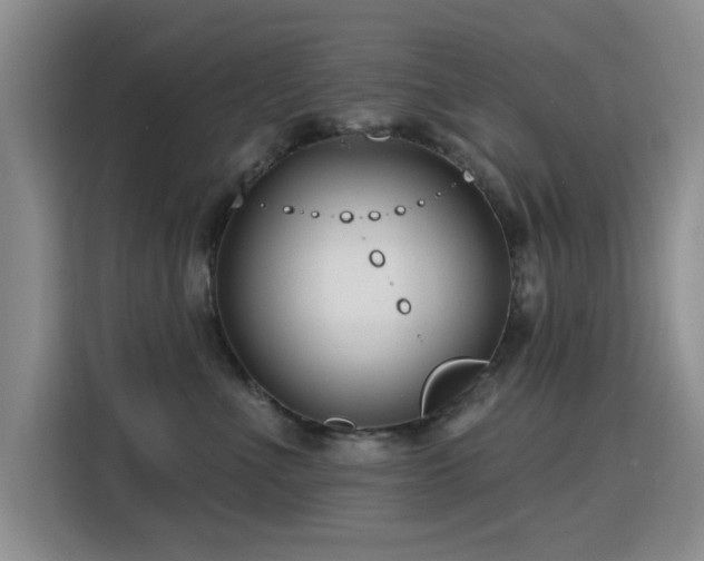 X0000115810523200911201421