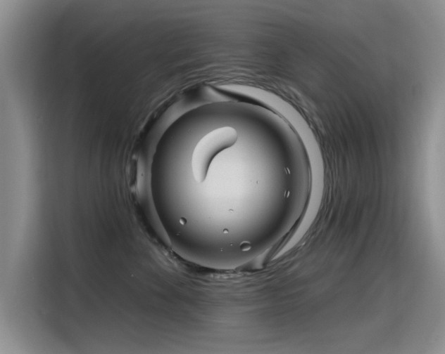 X0000115810524200911201421