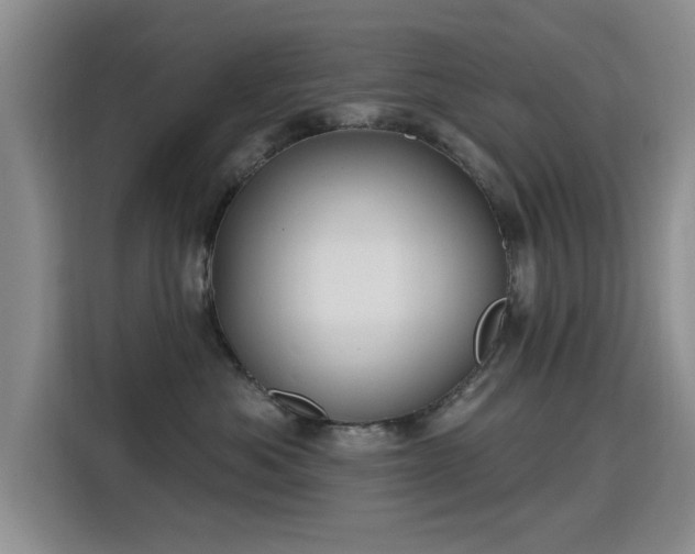 X0000115810525200911201421