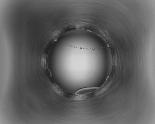 X0000115810527200911201421
