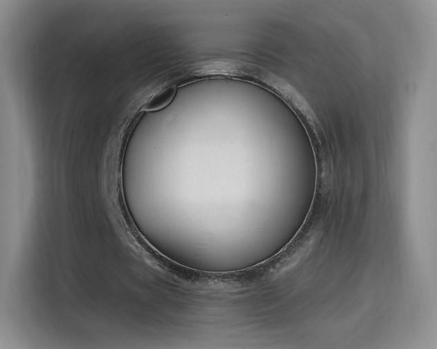 X0000115810529200911201420