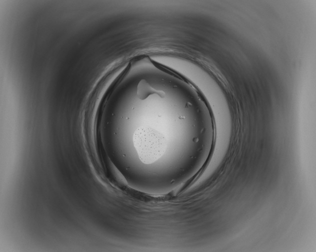 X0000115810534200911201420