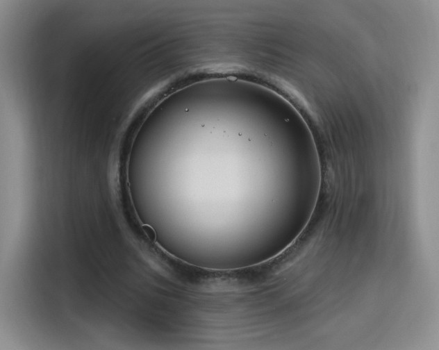 X0000115810535200911201420