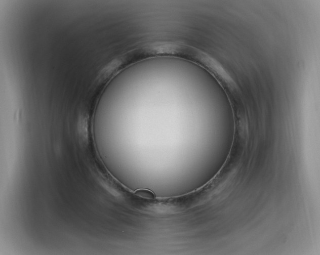 X0000115810537200911201420