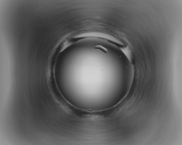 X0000115810539200911201420