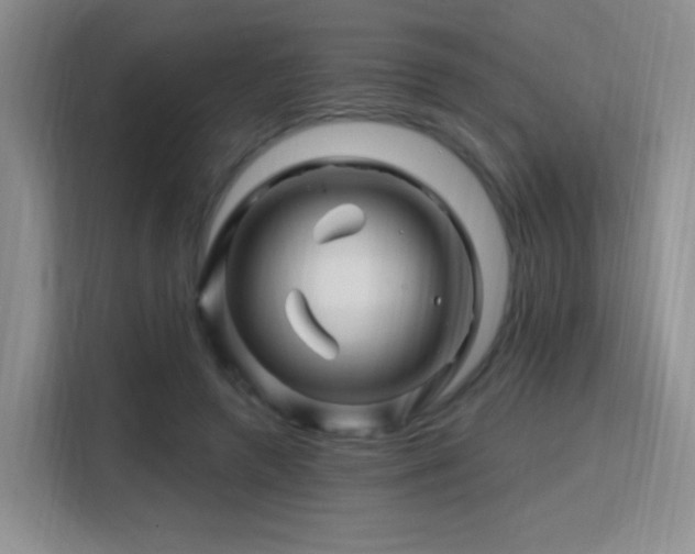 X0000115810546200911201420