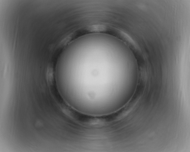 X0000115810549200911201421