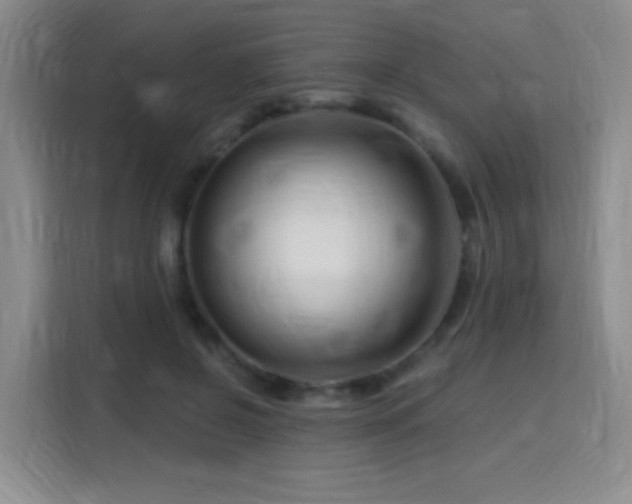 X0000115810550200911201421