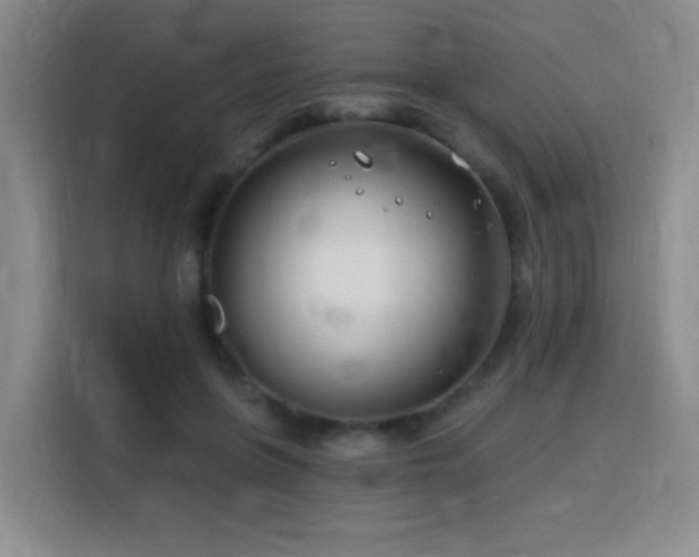 X0000115810551200911201421
