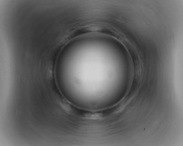 X0000115810553200911201421