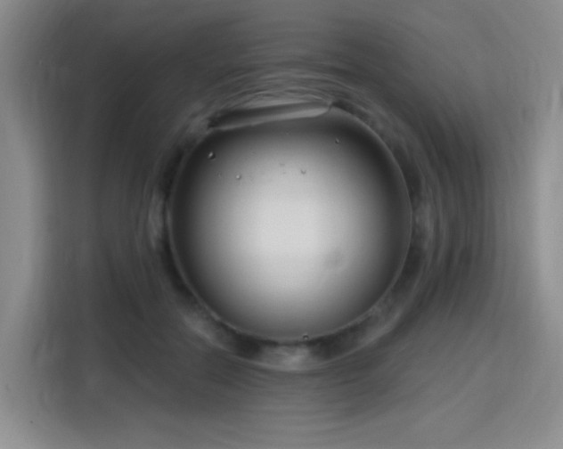 X0000115810554200911201421