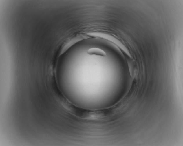 X0000115810555200911201421