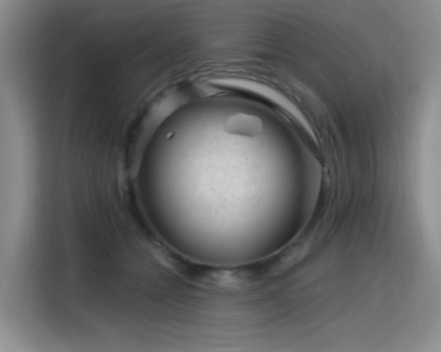 X0000115810558200911201421