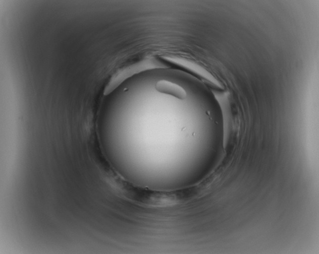 X0000115810559200911201421