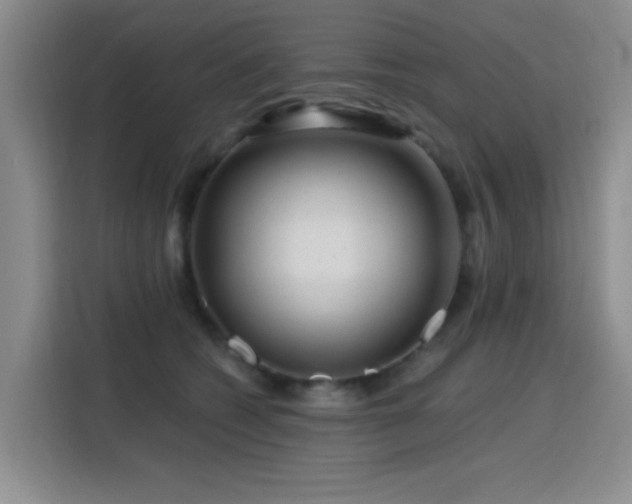 X0000115810562200911201421