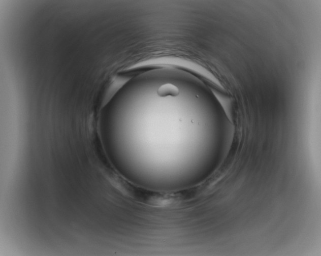 X0000115810563200911201421