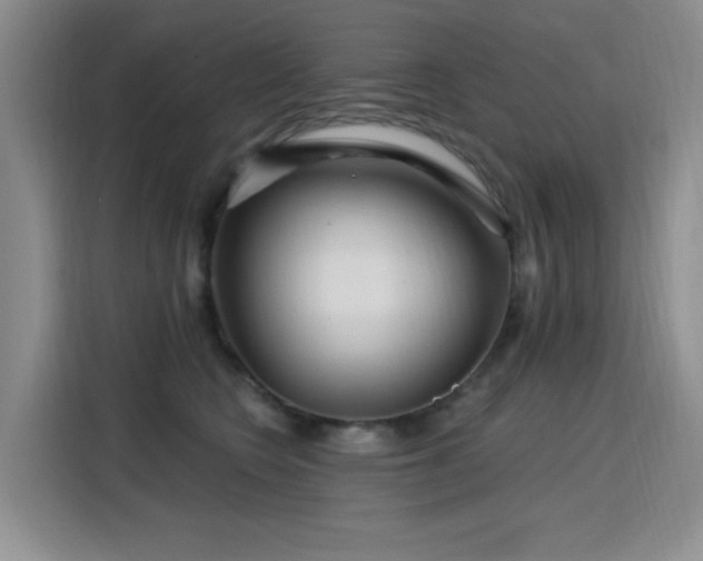 X0000115810566200911201421
