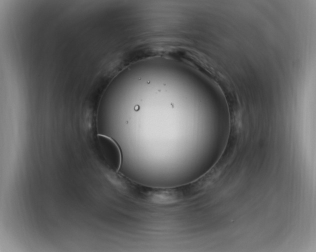 X0000115810567200911201421