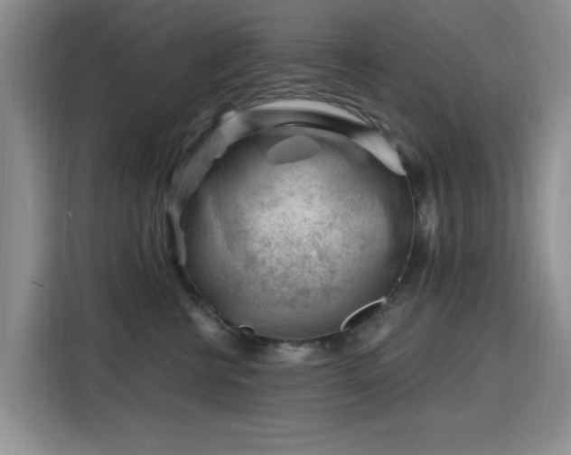 X0000115810570200911201421