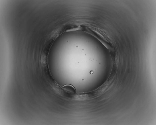 X0000115810571200911201421