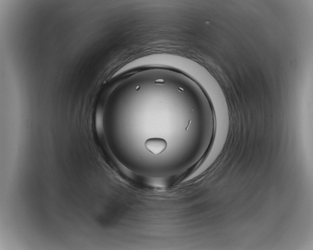 X0000115810573200911201421