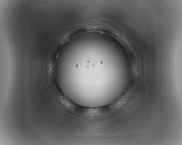 X0000115810574200911201421