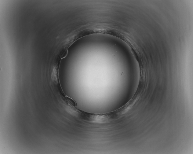 X0000115810575200911201421