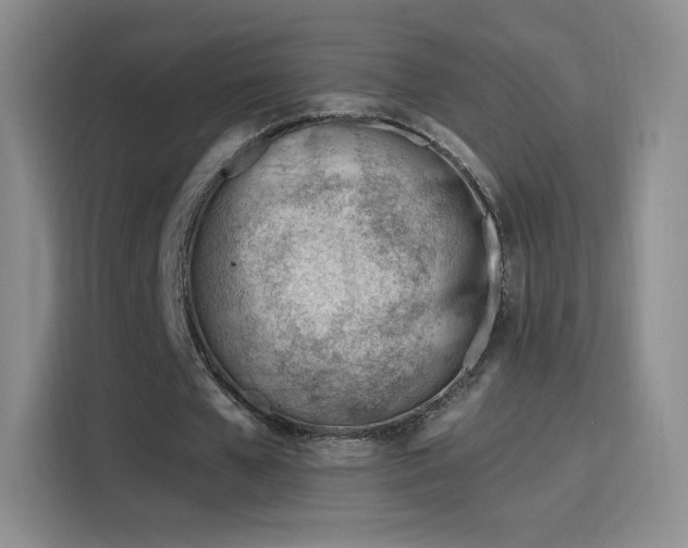 X0000115810577200911201420