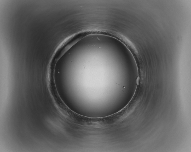 X0000115810580200911201420