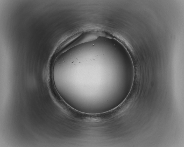 X0000115810582200911201420