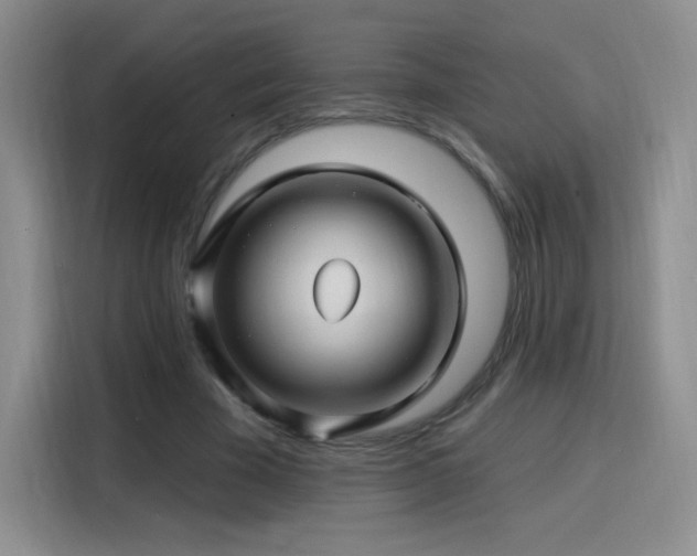 X0000115810585200911201420