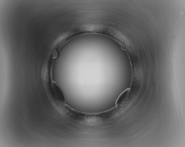 X0000115810587200911201420