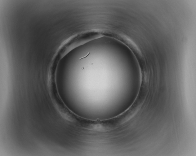 X0000115810588200911201420