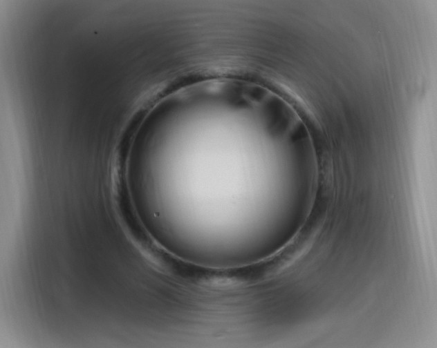 X0000115810590200911201420