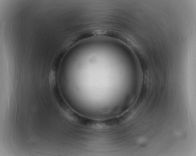 X0000115810598200911201420