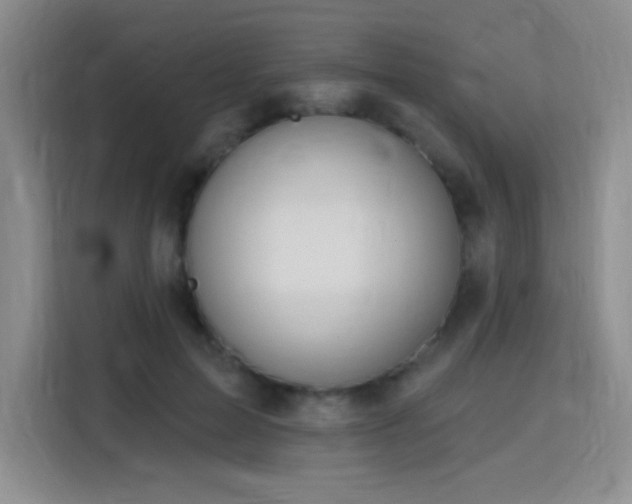 X0000115810599200911201420