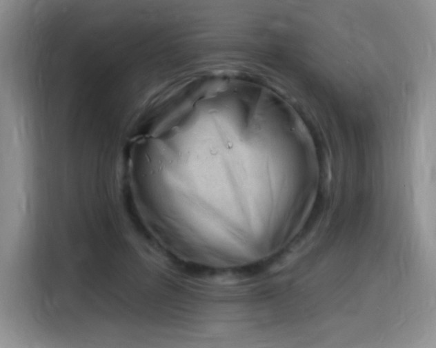 X0000115810600200911201420