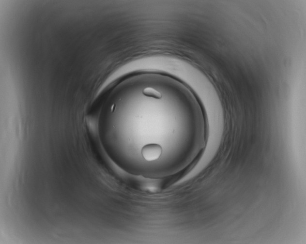 X0000115810601200911201420