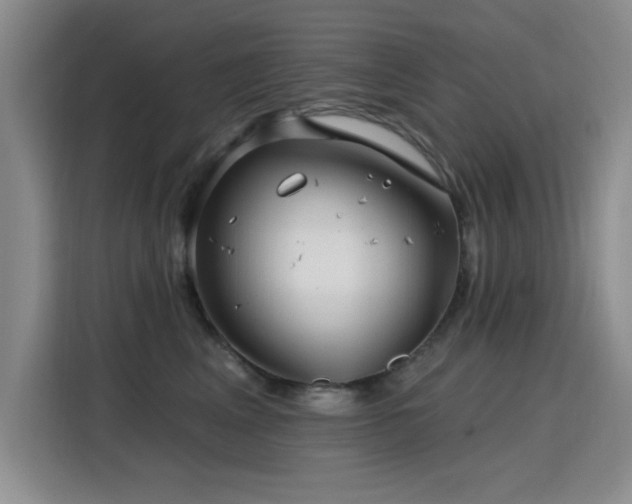 X0000115810617200911201420