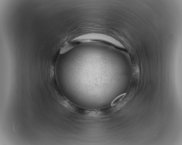 X0000115810621200911201419