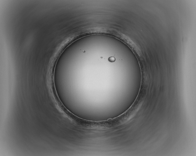 X0000115810625200911201419