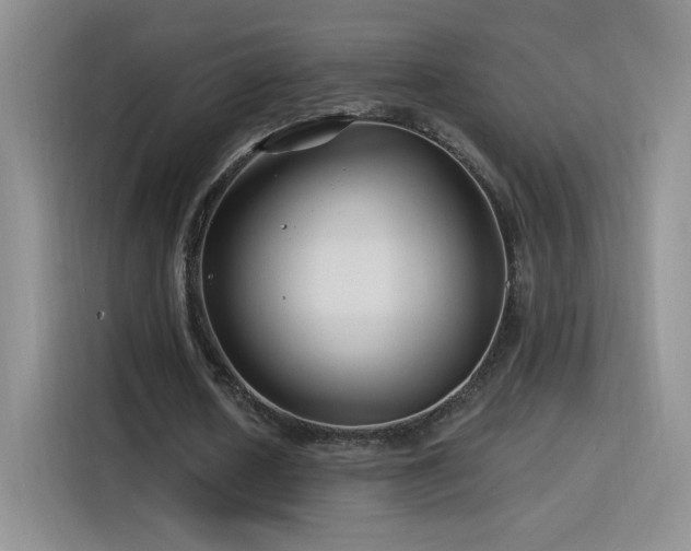 X0000115810626200911201419