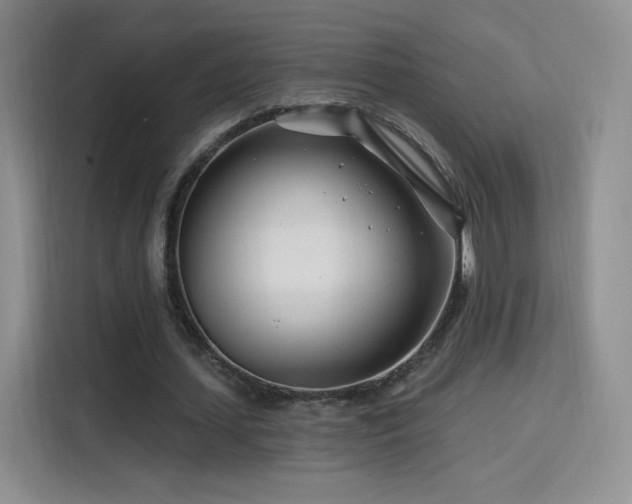 X0000115810627200911201419