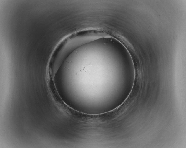 X0000115810628200911201419