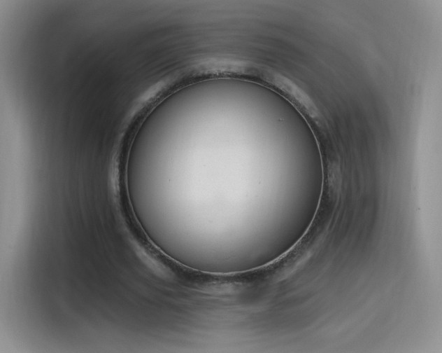 X0000115810629200911201419