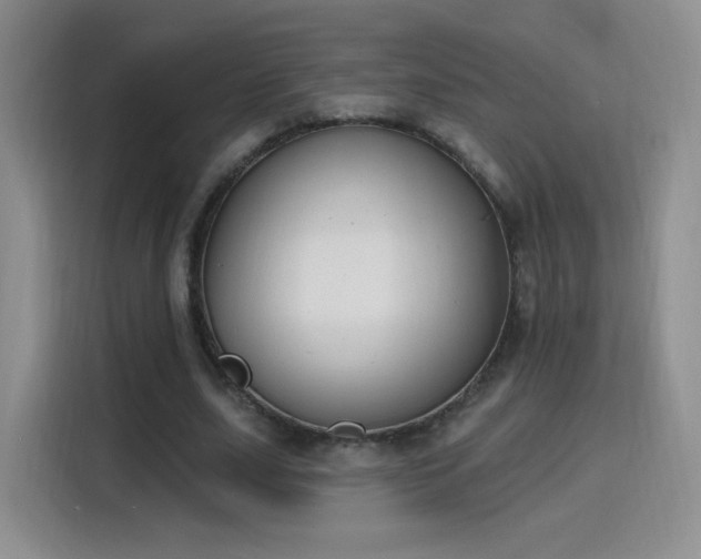 X0000115810631200911201419