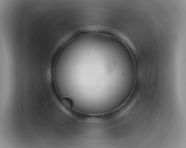 X0000115810633200911201419