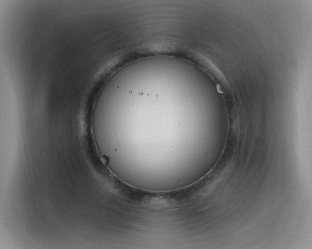 X0000115810635200911201419